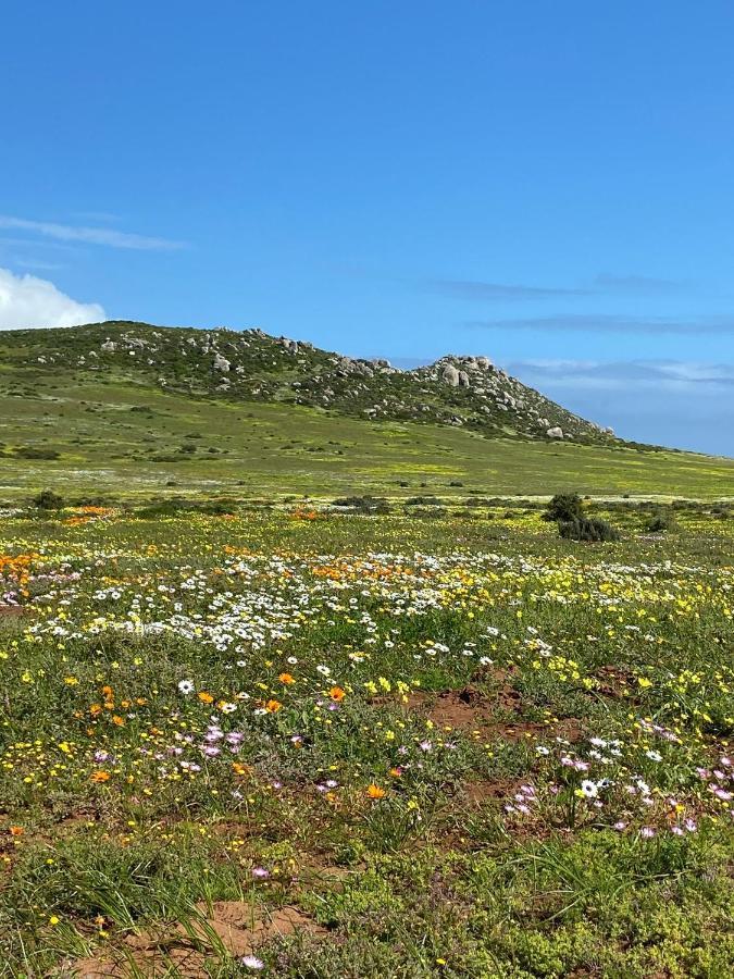 Studio On Fairway Apartment Langebaan Bagian luar foto