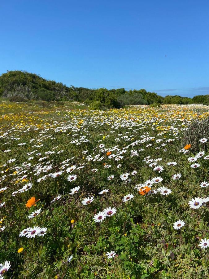 Studio On Fairway Apartment Langebaan Bagian luar foto